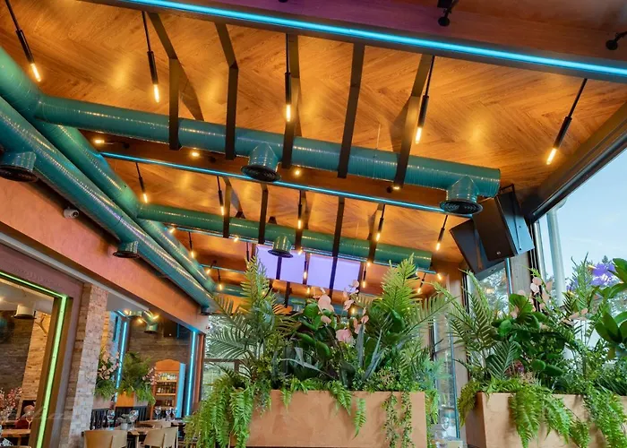 103 View Park Паничиште